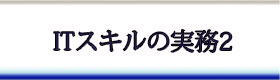 $B2q7W;N$N(BIT$B%9%-%k(B